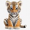 Big Cat Portrait in Transparent PNG Format A high-resolution transparent image of a tiger in a clear background suitable for commercial and personal use.