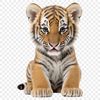 Close-up photo of a big cat, a tiger, with a detailed illustration style suitable for commercial or personal use.