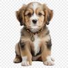High Res Puppy Clipart A transparent PNG image of a playful puppy with a clear background.