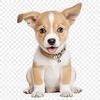 Free commercial use PNG clipart illustration of a happy young dog.