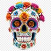 Transparent Skull PNG Icon A detailed transparent skull image on a clear background, suitable for commercial and personal use.
