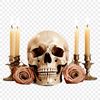 High-resolution illustration of a skull in PNG format, suitable for commercial or personal use.
