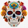 Transparent Skull Graphic A transparent skull graphic with a clear background, suitable for commercial use.