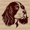 Friendly Cocker Spaniel Breed Profile A friendly-looking dog breed with a long, floppy ears and a sweet expression.