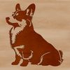 Adorable Corgi Breed from Wales A small dog breed from Wales sits on the ground with its head held high.