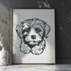 Stunning Havanese - Animal DXF