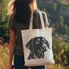 Artistic Labrador Retriever PNGs - Free Download