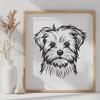 Beautiful Morkie - Laser PNG