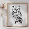 Owl PNG For Download - Free Commercial Use License