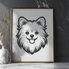 Stunning Pomeranian In SVG - Free Download