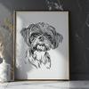 Creative Shih Tzu In SVG - Free Digital Download