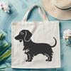 Beautiful Dachshund PNG