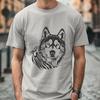 Beautiful Husky - Animal PNG