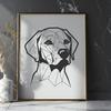 Beautiful Labrador Retriever PNG - Free Commercial Use Download