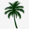 Free Unique Palm Tree Image PDF - Commercial Use