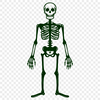 Stunning Standing Skeleton In SVG - Commercial Use