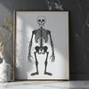 Beautiful Skeleton - Glowforge PDF Free Download