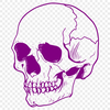 Skull Vector Image In PNG & SVG - Free Digital Download