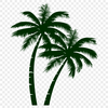 Palm Tree PDF For Download - Free Commercial Use License