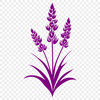 Beautiful Wild Flower In SVG, PNG, PDF And DXF File Formats - Free