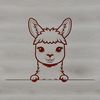 Adorable Andean creature peeking out from behind a tree. A realistic illustration of a friendly-looking alpaca peeking out from behind a tree, created as a vector graphic.
