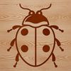 A simple line drawing illustration of a ladybug featuring colorful spots and delicate details.