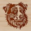 Adorable Aussie Portait An illustrated portrait of a Australian Shepherd dog with ornate details, suitable for vector design.