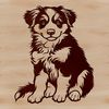 Friendly Aussie Breed Vector Graphic Illustrated Australian Shepherd dog breed sitting in a realistic pose.