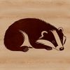 A detailed illustration of a badger sleeping in its natural habitat.