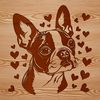 Charming Boston Terrier Vector Design A vector graphic design featuring a charming Boston Terrier dog.