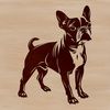 Standing Boston Terrier Graphic Design Vector graphic of a standing Boston Terrier dog, suitable for digital designs.