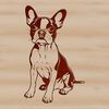 Illustration of a seated Boston Terrier animal for personal or commercial use.