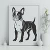 Boston Terrier Standing in a Simple Pose A stylized illustration of a Boston Terrier dog standing in a simple pose.