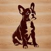 Sitting Boston Terrier Pet Portrait A sitting Boston Terrier dog breed with a calm expression, suitable for vector art projects.