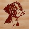 Beautiful Boxer Face Graphic A digital representation of a Boxer's face, designed as scalable SVG graphic.