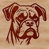 A detailed illustration of a Boxer dog's head from the front.