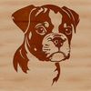 An illustration of a Boxer dog's head, created as a vector graphic.