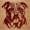 Vector Bulldog Portrait Illustration An illustration of a bulldog's head from multiple angles, suitable for vector design.