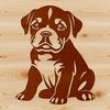 A sitting bulldog with a gentle expression.
