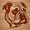 A graphic representation of a bulldog face in simple lines and shapes.