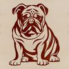 Sitting Bull Dog Vector Graphic A sitting bulldog breed dog animal silhouette in vector format.