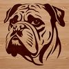 An illustration of a Bulldog's head with its distinctive features.