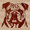 Wrinkled Bulldog Portrait A portrait of a bulldog's head with wrinkled skin and distinctive facial features.