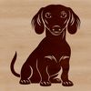 A stylized vector graphic of a dachshund sitting on its haunches.