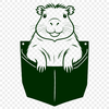 A close-up illustration of a capybara's head peeking out from behind a leaf.