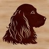Happy Cocker Spaniel Vector Illustration A vector graphic of a happy Cocker Spaniel dog.