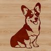 Cute Corgi Sitting Pose A small breed dog with distinctive appearance, sitting on its haunches.
