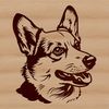 Corgi breed dog head illustration in vector format
