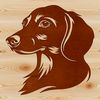 Cuddly Canine Companion Illustration A vector illustration of a Dachshund's head.