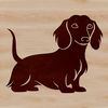 Vector Graphic of a Standing Dachshund Dog A standing dachshund dog breed illustration in vector format.